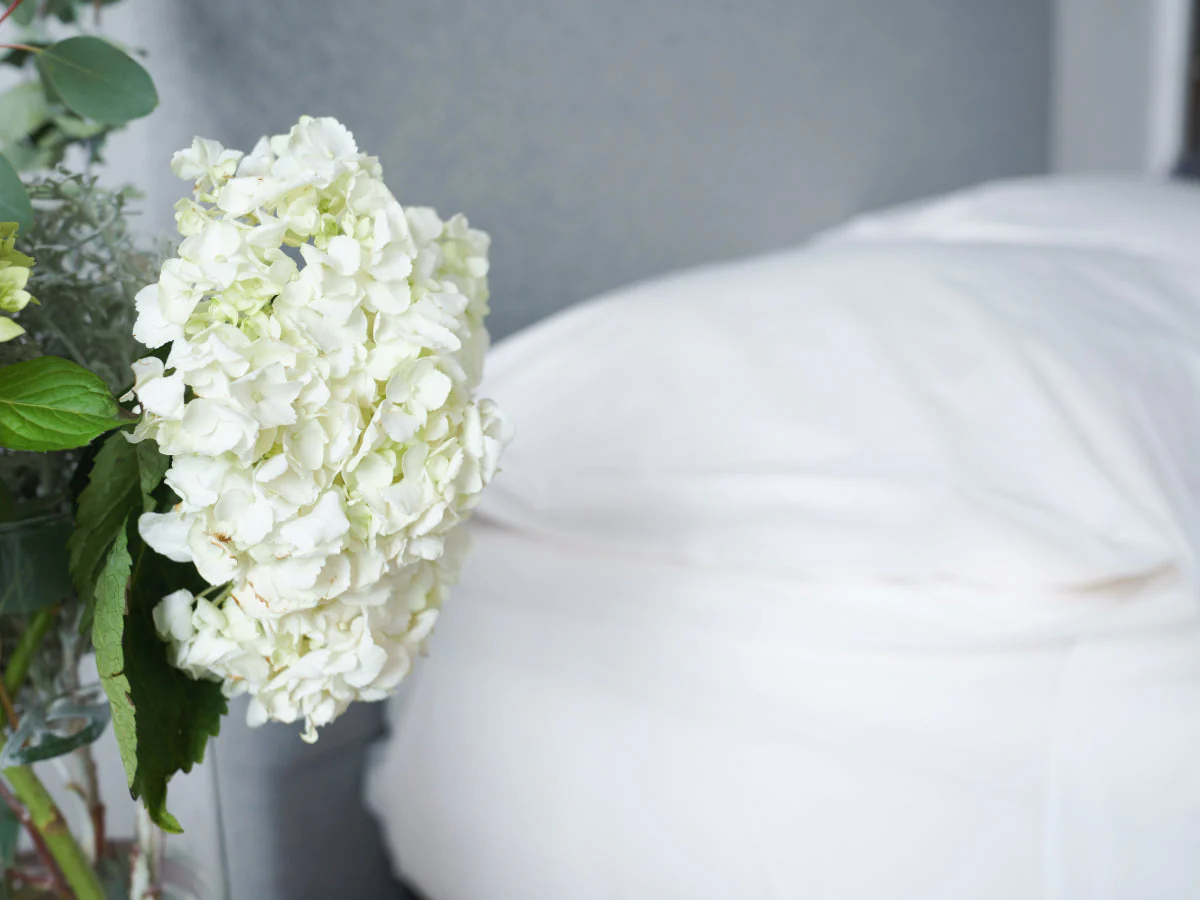 Organic Cotton Sheet Set - Image 3