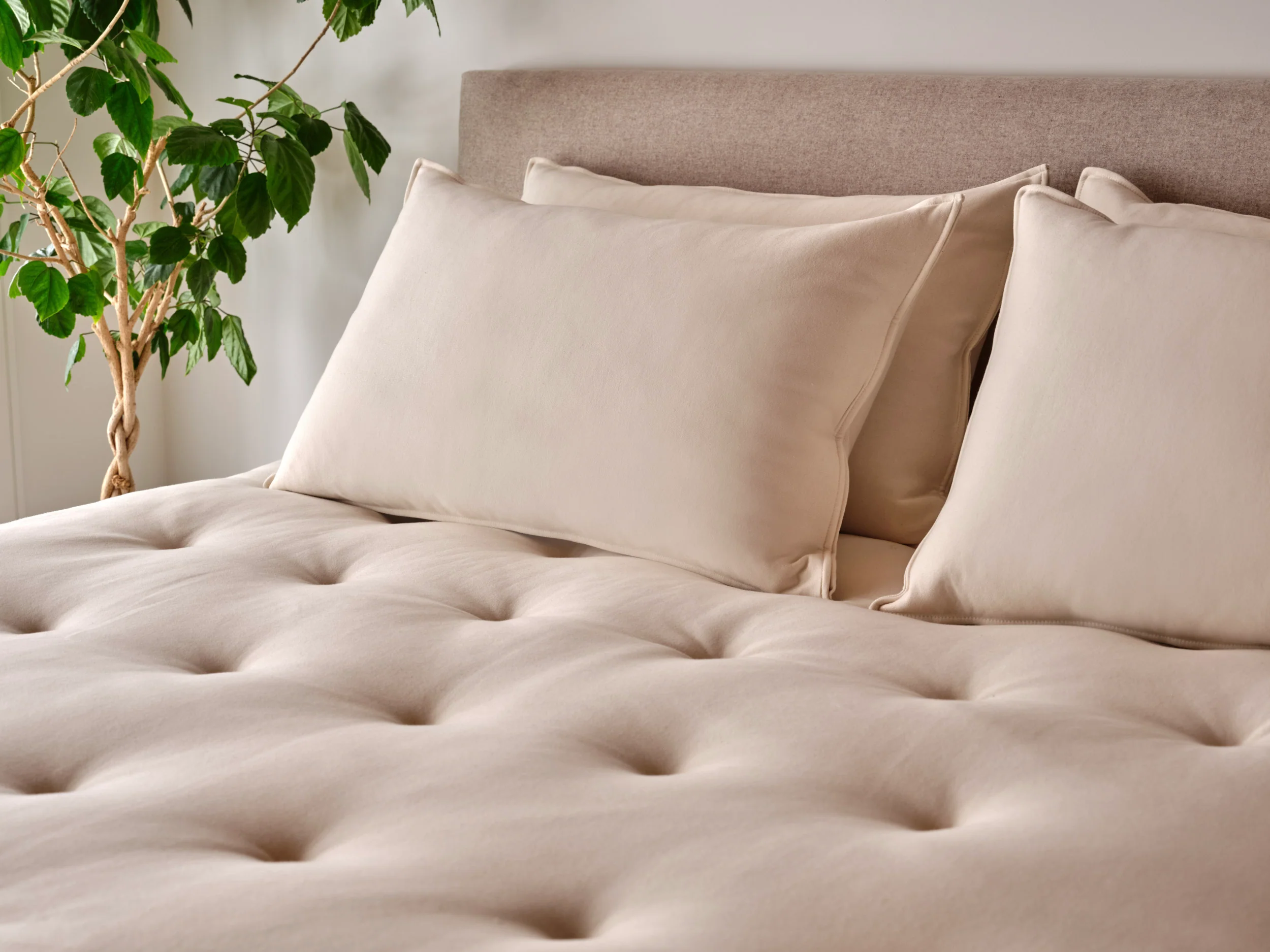 Classic Organic Wool and Latex Mattress Topper (1.5") - Image 4